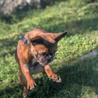 Photo of Axle