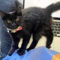 Photo of 💨Alcatraz💨