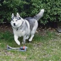 Photo of Sasha 