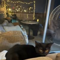 Photo of Etch A Sketch