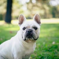 Photo of Bee O’cleary