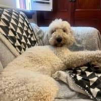 Photo of George And Bobby