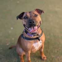 Photo of Winnie