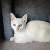 Photo of Issy