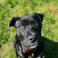 Photo of Bruce