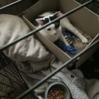 Photo of Matilda