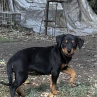 Photo of Frankie Raydar