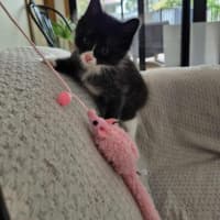 Photo of Mabel