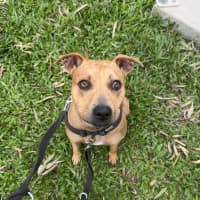 Photo of Hazel