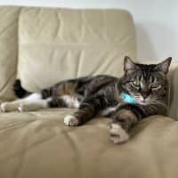 Photo of Boots