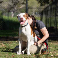 Photo of Max
