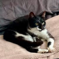Photo of Pawla