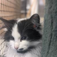 Photo of 🌾 Weetbix 5823 🌾