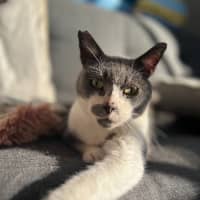 Photo of Billy
