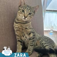 Photo of Zara