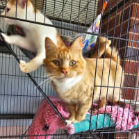 Photo of Starfish 🌟 