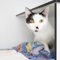 Photo of Addie