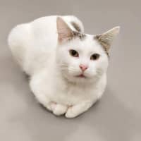 Photo of Princess