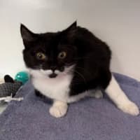 Photo of Kiki
