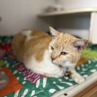 Photo of Mia
