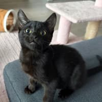 Photo of Zephyr
