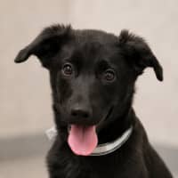 Photo of Remington