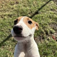 Photo of Bonnie