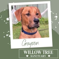 Photo of Grayson