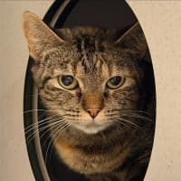 Photo of Nora