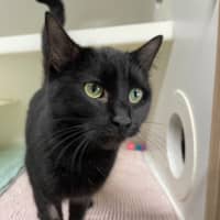 Photo of 👒 Salena 5556 👒