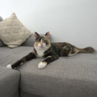 Photo of Jenny 