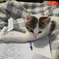 Photo of Johnny   Super Friendly