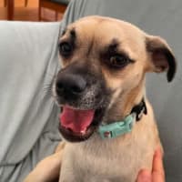Photo of Coco