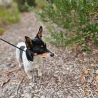 Photo of 🍣 Wasabi 5833 🍣