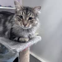 Photo of Max