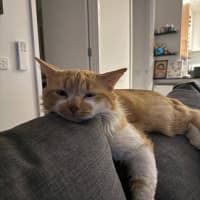 Photo of Rachi