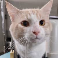 Photo of Timothy