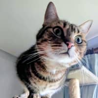 Photo of Marley