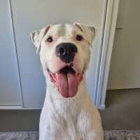 Photo of Ripley