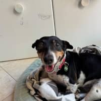 Photo of Bella Valenti