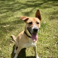 Photo of Hazel