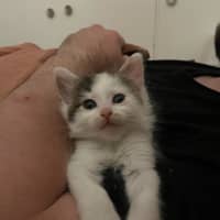 Photo of Albie