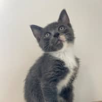 Photo of C1577 Frodo