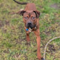 Photo of Roo