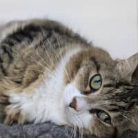 Photo of 🪀 James (Jimmy) 5740 🪀