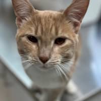 Photo of Floyd (0203)