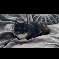 Photo of A Special Little Lady