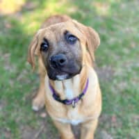 Photo of Elphie
