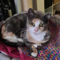 Photo of Romany 🌷🌷🌷