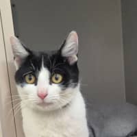 Photo of Gadget (0196)